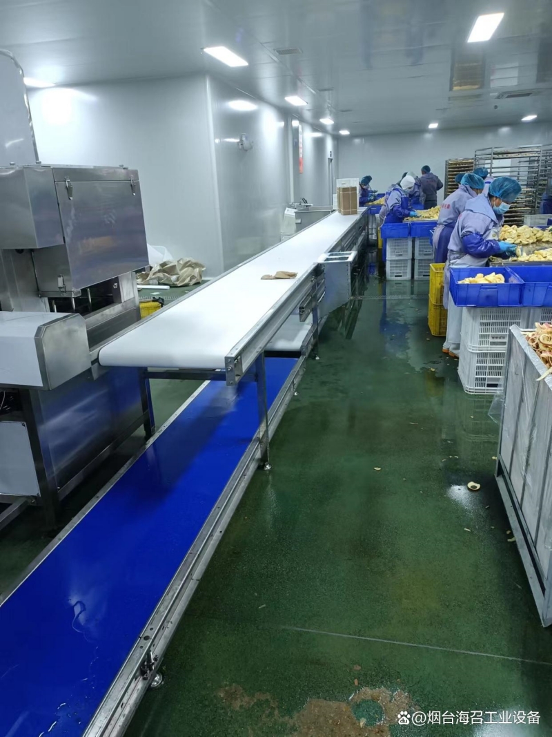 食品行業(yè)皮帶輸送機2.jpg